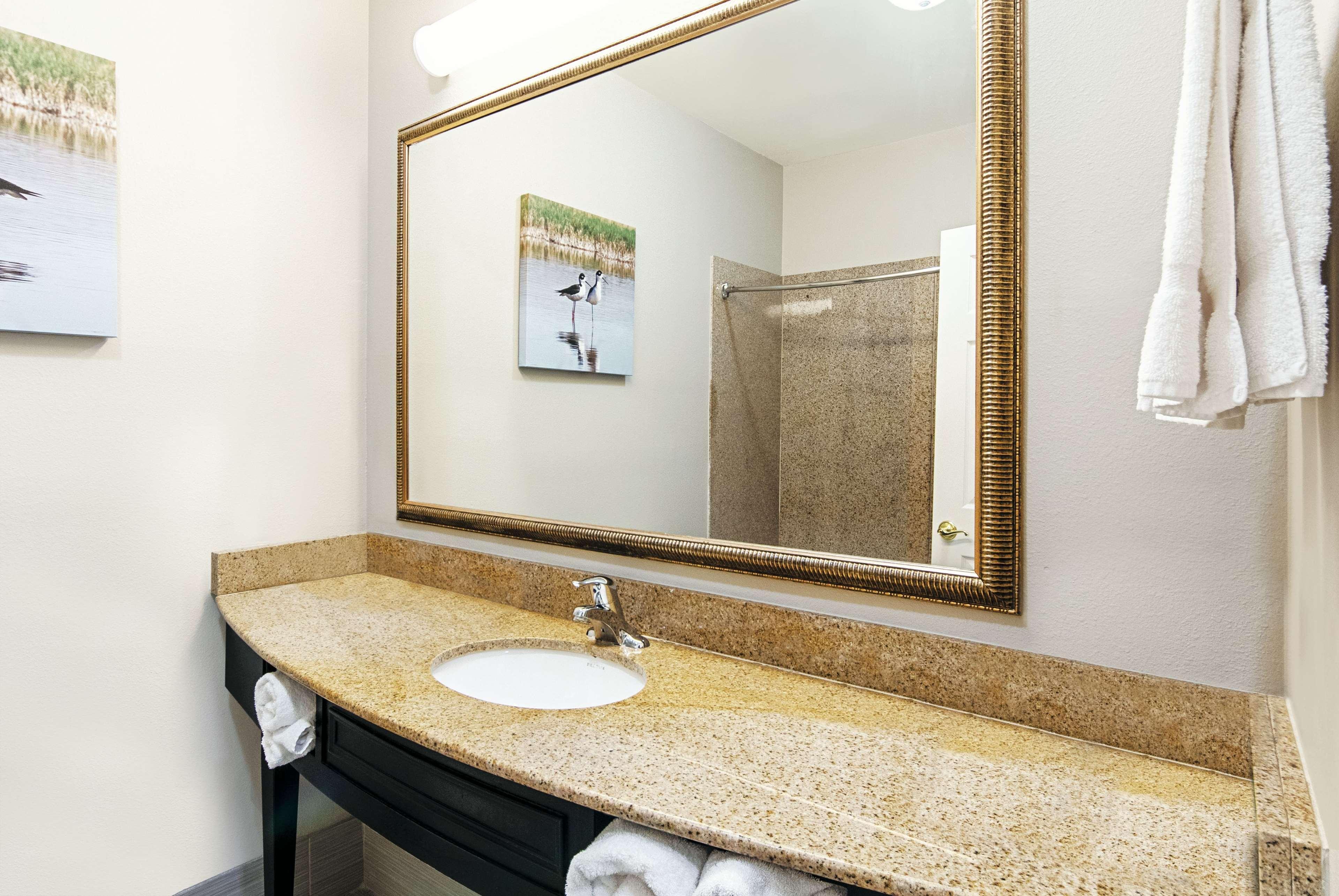 La Quinta By Wyndham Alamo-Mcallen East Eksteriør bilde